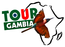 TOUR GAMBIA - ABOUT TOUR GAMBIA