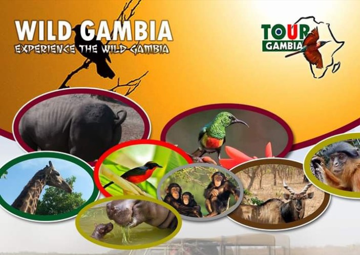 TOUR GAMBIA - ABOUT TOUR GAMBIA
