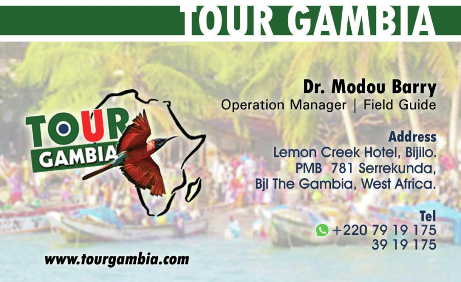 TOUR GAMBIA - CONTACT DETAILS